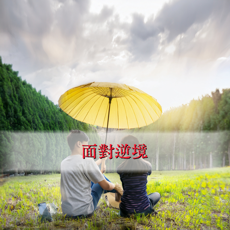 正向教育